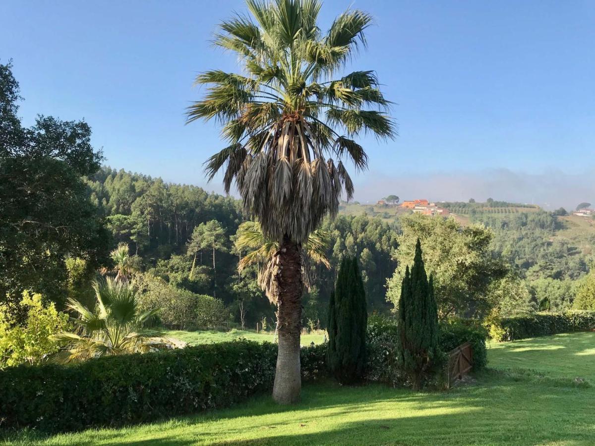 Carvalhal Bemfeito Vida-Vi, Country House And B&B المظهر الخارجي الصورة