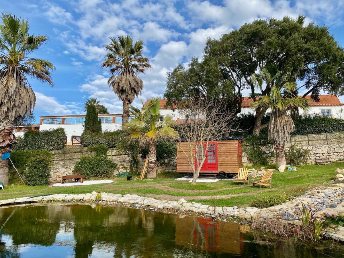 Carvalhal Bemfeito Vida-Vi, Country House And B&B المظهر الخارجي الصورة