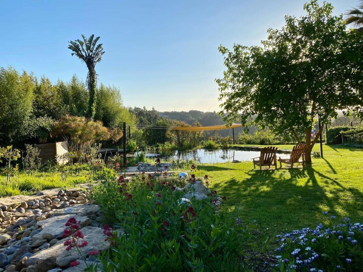 Carvalhal Bemfeito Vida-Vi, Country House And B&B المظهر الخارجي الصورة