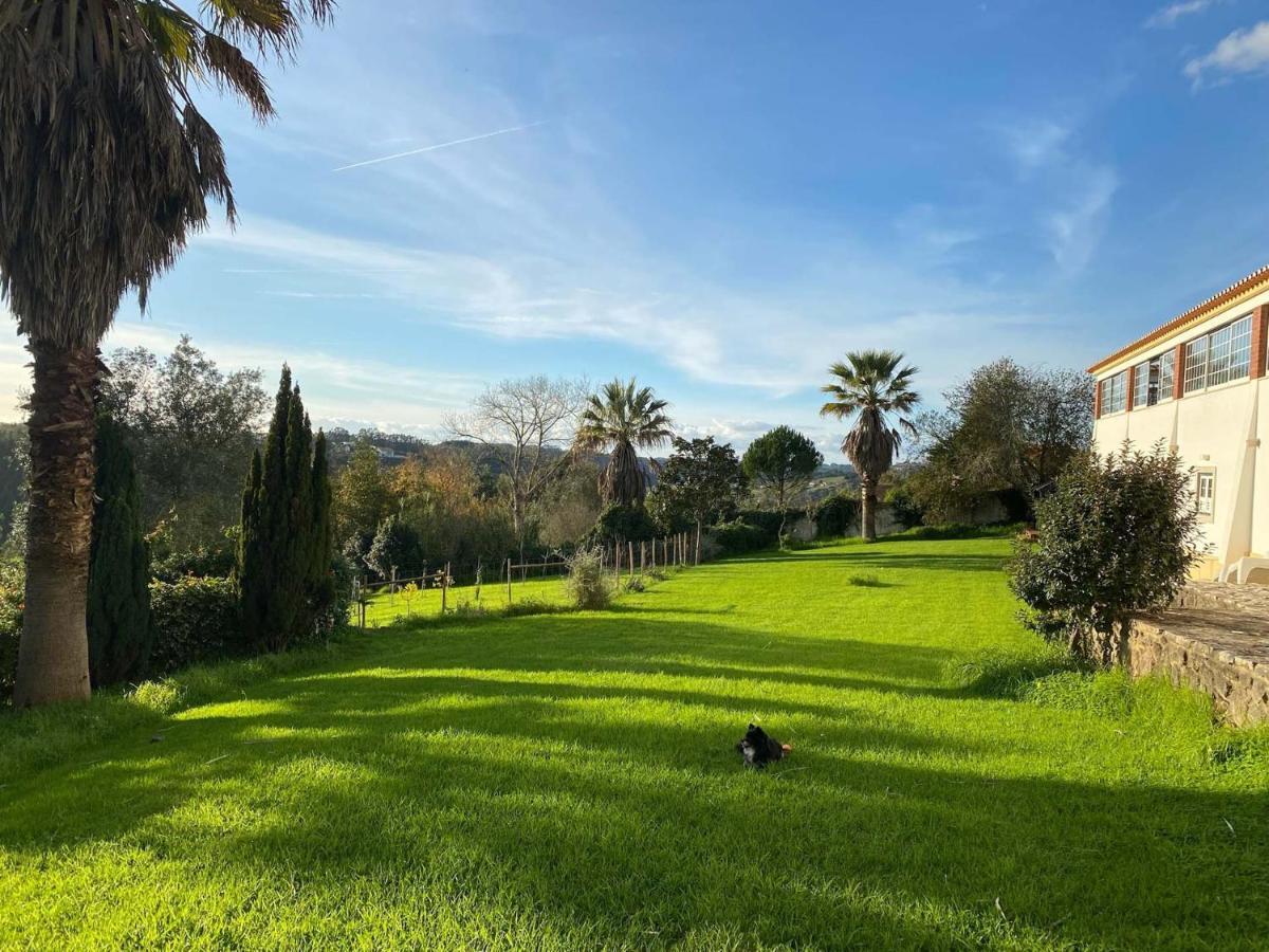 Carvalhal Bemfeito Vida-Vi, Country House And B&B المظهر الخارجي الصورة