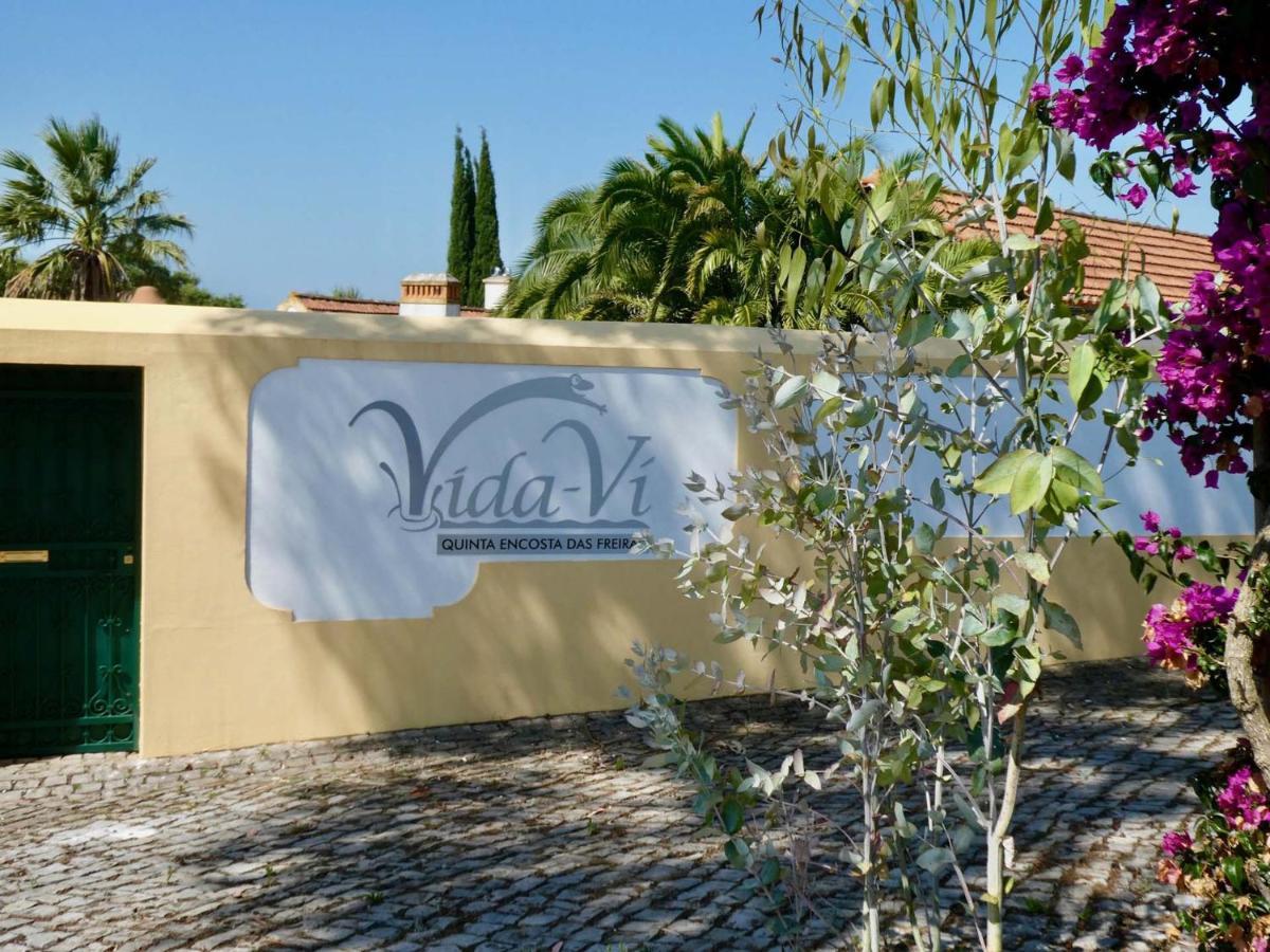 Carvalhal Bemfeito Vida-Vi, Country House And B&B المظهر الخارجي الصورة