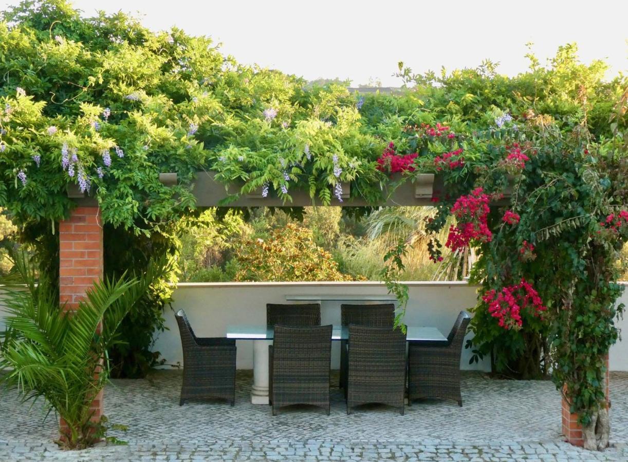 Carvalhal Bemfeito Vida-Vi, Country House And B&B المظهر الخارجي الصورة
