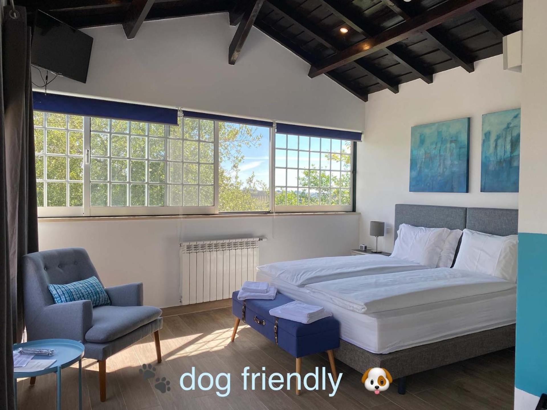 Carvalhal Bemfeito Vida-Vi, Country House And B&B المظهر الخارجي الصورة
